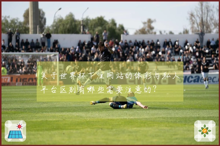 关于世界杯下注网站的体彩与私人平台区别有哪些需要注意的？