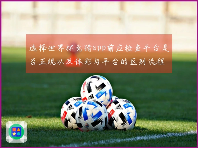 选择世界杯竞猜app前应检查平台是否正规以及体彩与平台的区别流程指南
