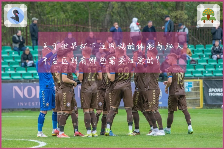关于世界杯下注网站的体彩与私人平台区别有哪些需要注意的？