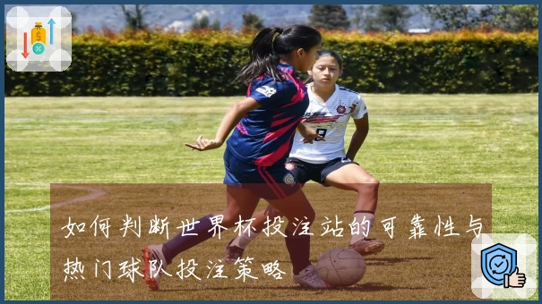 如何判断世界杯投注站的可靠性与热门球队投注策略